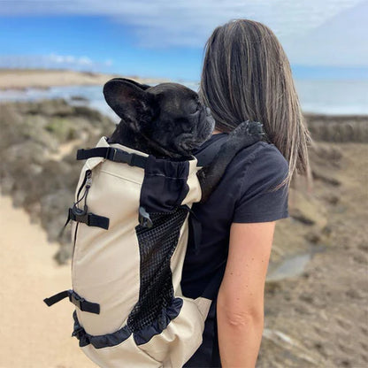 Pug Dog Carrier Backpack