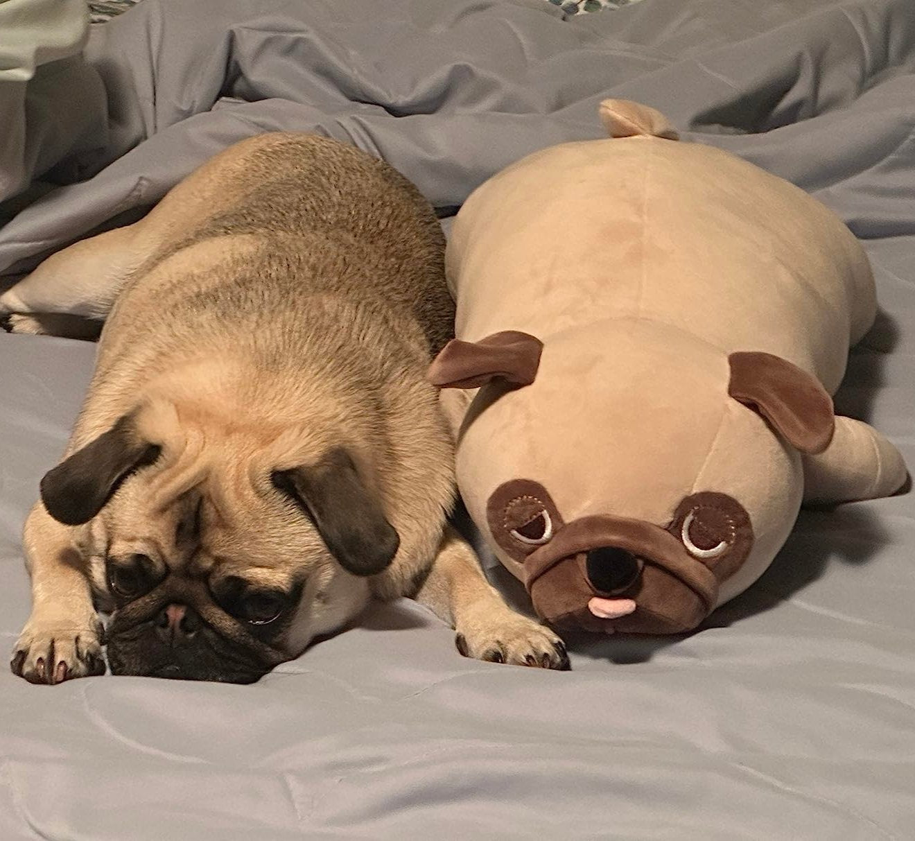 Lazy pug plush