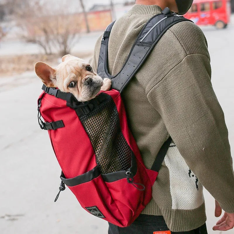 Pug Dog Carrier Backpack