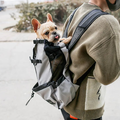 Pug Dog Carrier Backpack