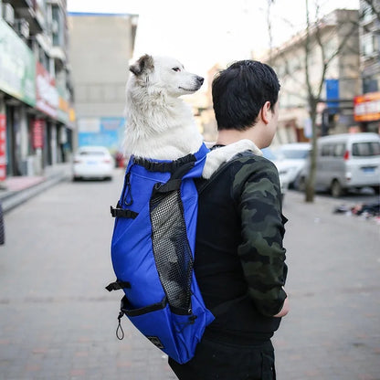 Pug Dog Carrier Backpack