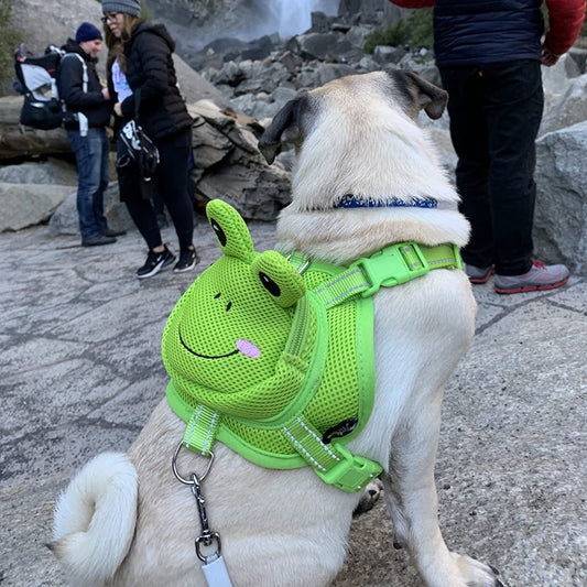 Frog Dog Backpack Harness